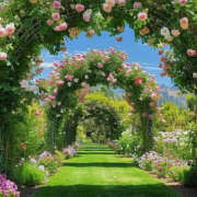 ヒメ日記 2025/07/26 01:47 投稿 じゅん 恋づま