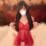 ヒメ日記 2024/12/27 19:30 投稿 きく PRISM(都城)