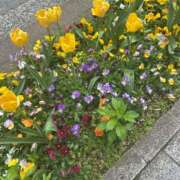 ヒメ日記 2026/04/14 10:36 投稿 かな ミラー