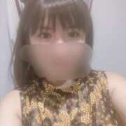 ヒメ日記 2026/04/19 14:58 投稿 かな ミラー