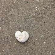 鈴木のぞみ おはようございます 恋する妻たち