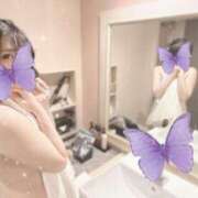 ヒメ日記 2025/03/20 19:33 投稿 紫陽花-あじさい- グッドスマイル