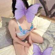 ヒメ日記 2025/03/21 14:35 投稿 紫陽花-あじさい- グッドスマイル