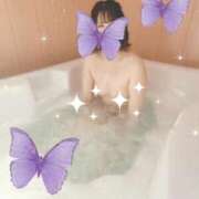 ヒメ日記 2025/03/30 19:47 投稿 紫陽花-あじさい- グッドスマイル