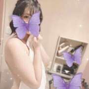 ヒメ日記 2025/04/06 12:55 投稿 紫陽花-あじさい- グッドスマイル