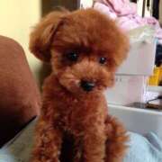 ヒメ日記 2025/07/28 09:01 投稿 ゆき ライラック