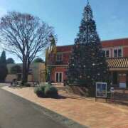 ヒメ日記 2025/12/05 11:51 投稿 りなこ 熟女の風俗最終章 宇都宮店