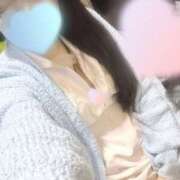 ヒメ日記 2025/04/01 12:36 投稿 なの 治療院.LOVE小山店