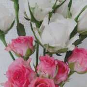 ヒメ日記 2025/10/23 16:57 投稿 みずき 萌えカワ