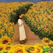 ヒメ日記 2024/12/29 05:08 投稿 ひより 不倫体験 名古屋店