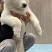 ヒメ日記 2025/01/03 16:08 投稿 ひより 不倫体験 名古屋店