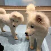 ヒメ日記 2025/02/27 18:38 投稿 ひより 不倫体験 名古屋店