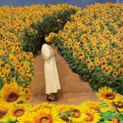 ヒメ日記 2025/03/18 20:08 投稿 ひより 不倫体験 名古屋店