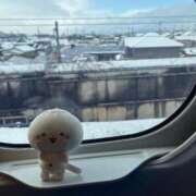 ヒメ日記 2025/03/20 05:58 投稿 ひより 不倫体験 名古屋店