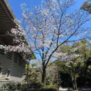 ヒメ日記 2025/04/04 19:08 投稿 ひより 不倫体験 名古屋店