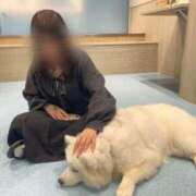 ヒメ日記 2025/11/01 15:52 投稿 ひより 不倫体験 名古屋店