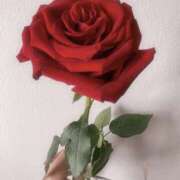 ヒメ日記 2025/01/12 05:45 投稿 さやか Royal Spa 麻布十番