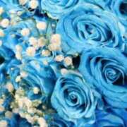 ヒメ日記 2024/12/15 19:55 投稿 ミサト(極) 人妻生レンタル