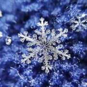 ヒメ日記 2025/02/10 01:05 投稿 ミサト(極) 人妻生レンタル