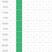 ヒメ日記 2025/02/20 19:25 投稿 ミサト(極) 人妻生レンタル