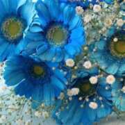 ヒメ日記 2025/03/11 10:50 投稿 ミサト(極) 人妻生レンタル