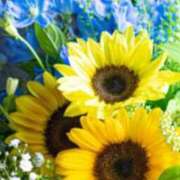 ヒメ日記 2025/05/18 16:50 投稿 ミサト(極) 人妻生レンタル