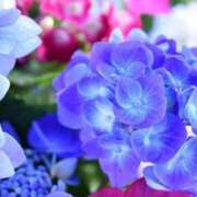 ヒメ日記 2025/05/24 19:08 投稿 ミサト(極) 人妻生レンタル