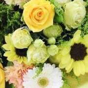 ヒメ日記 2025/06/19 01:40 投稿 ミサト(極) 人妻生レンタル