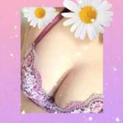 ヒメ日記 2025/06/29 22:20 投稿 ミサト(極) 人妻生レンタル