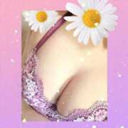 ヒメ日記 2025/09/14 14:10 投稿 ミサト(極) 人妻生レンタル