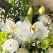 ヒメ日記 2025/09/20 22:10 投稿 ミサト(極) 人妻生レンタル