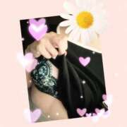 ヒメ日記 2025/09/24 09:00 投稿 ミサト(極) 人妻生レンタル