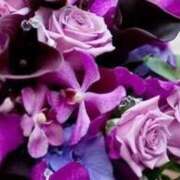 ヒメ日記 2025/09/25 13:40 投稿 ミサト(極) 人妻生レンタル