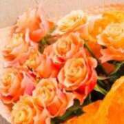 ヒメ日記 2025/09/25 18:32 投稿 ミサト(極) 人妻生レンタル