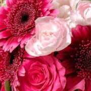 ヒメ日記 2025/09/29 08:20 投稿 ミサト(極) 人妻生レンタル