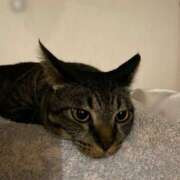 ヒメ日記 2025/03/16 01:14 投稿 なつみ ～優しい若妻倶楽部～Mrs.女神