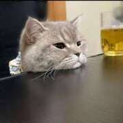 ヒメ日記 2025/03/27 23:42 投稿 なつみ ～優しい若妻倶楽部～Mrs.女神