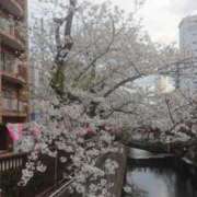 ヒメ日記 2025/04/04 18:46 投稿 なつみ ～優しい若妻倶楽部～Mrs.女神