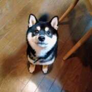 ヒメ日記 2025/04/14 23:06 投稿 なつみ ～優しい若妻倶楽部～Mrs.女神