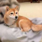 ヒメ日記 2025/05/03 12:33 投稿 なつみ ～優しい若妻倶楽部～Mrs.女神