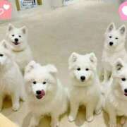 ヒメ日記 2025/11/10 15:40 投稿 なつみ ～優しい若妻倶楽部～Mrs.女神