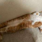 ヒメ日記 2025/11/25 14:47 投稿 なつみ ～優しい若妻倶楽部～Mrs.女神