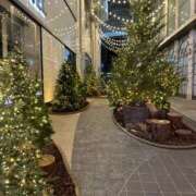 ヒメ日記 2024/12/20 01:46 投稿 くらら 東京デザインリング錦糸町店