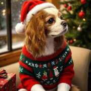 ヒメ日記 2024/12/20 11:27 投稿 えいみ 奥様特急新潟店