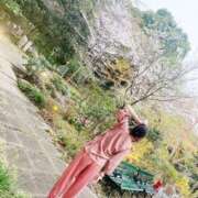 ヒメ日記 2025/04/11 18:53 投稿 えいみ 奥様特急三条店