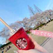 ヒメ日記 2025/04/20 18:53 投稿 えいみ 奥様特急三条店