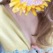 ヒメ日記 2025/04/23 15:02 投稿 結莉 高崎人妻城