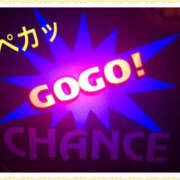 ヒメ日記 2025/01/31 19:43 投稿 みずき ままどーる
