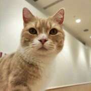 ヒメ日記 2025/05/30 18:04 投稿 のぞみ 千葉松戸ちゃんこ