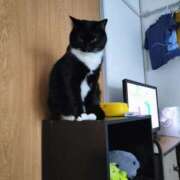 ヒメ日記 2025/06/10 11:32 投稿 のぞみ 千葉松戸ちゃんこ